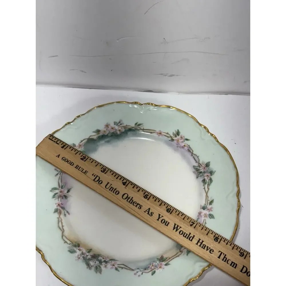 Antique France‎ Dinner Plate H & Co Limoges Hand Painted Blue Floral Good Edges